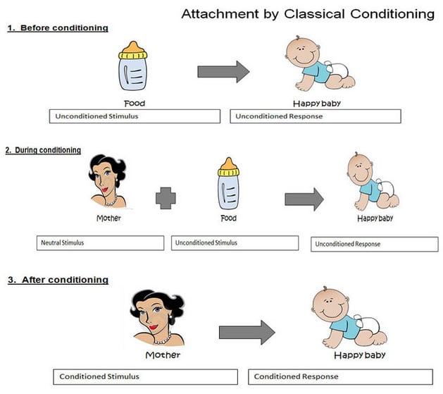 attachment conditioning