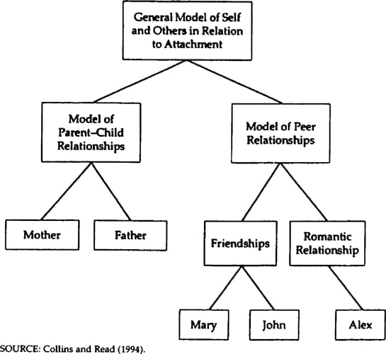 complex hierarchical structure of attachment relationships